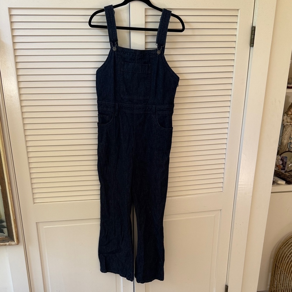 Pilcro and the Letterpress Dark Blue Jumpsuit